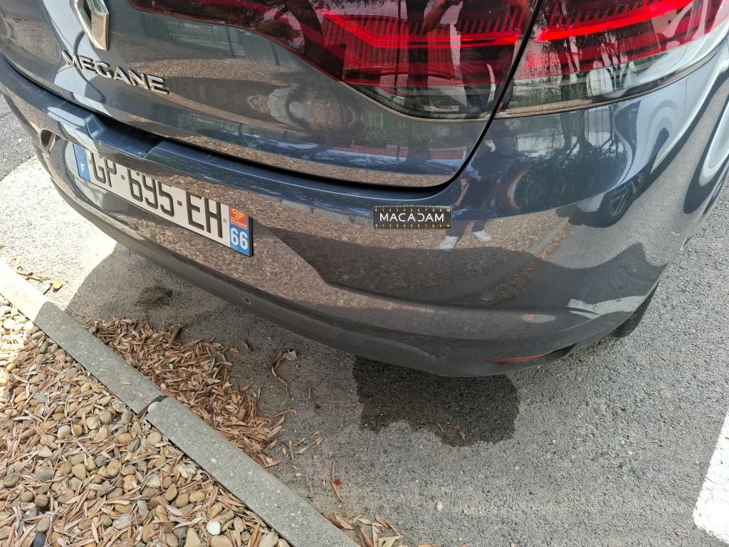 RENAULT MÉGANE MEGANE IV Berline Blue dCi 115 Evolution 2023