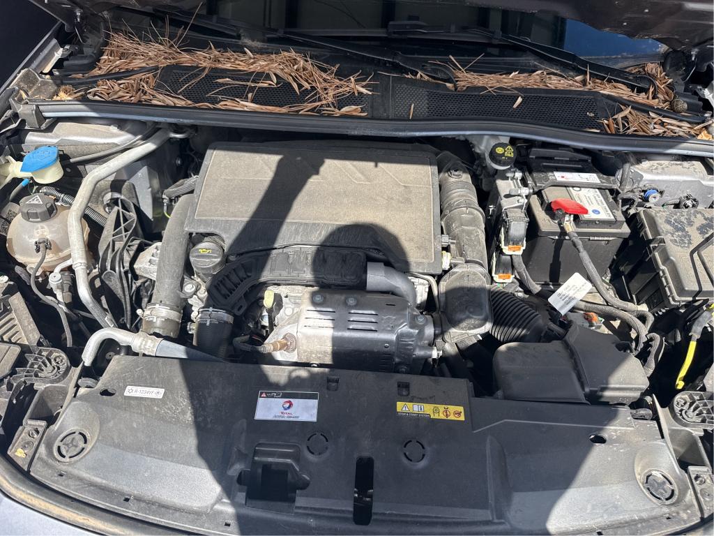 PEUGEOT 308 SW PureTech 130ch S&S EAT8 Allure Pack 2023