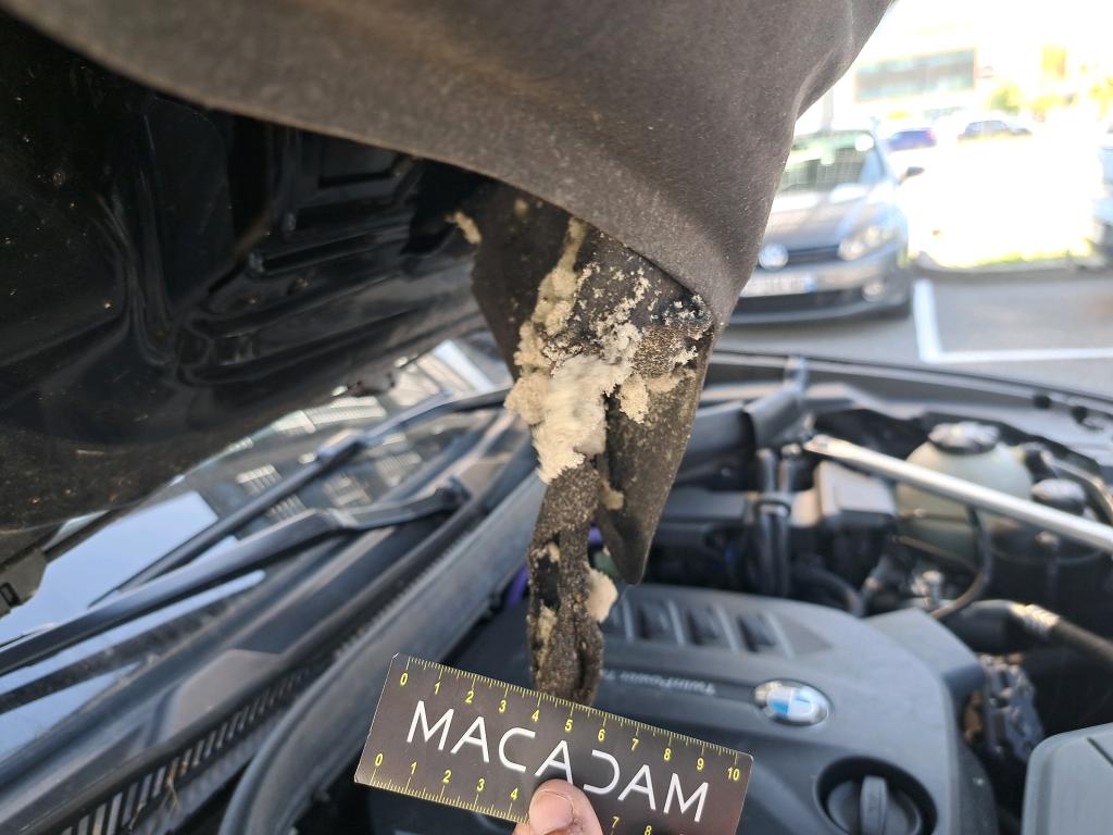 BMW X4 G02 LCI xDrive20d 190 ch BVA8 xLine 2023