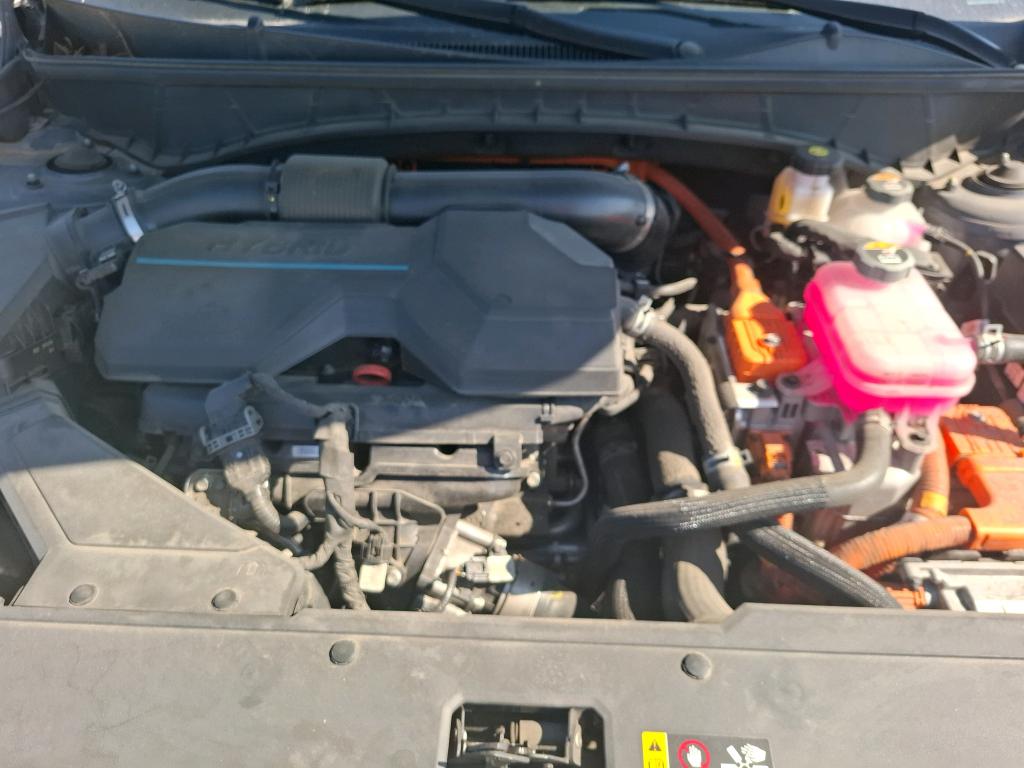 HYUNDAI TUCSON 1.6 T-GDI 230 Hybrid BVA6 Business 2022