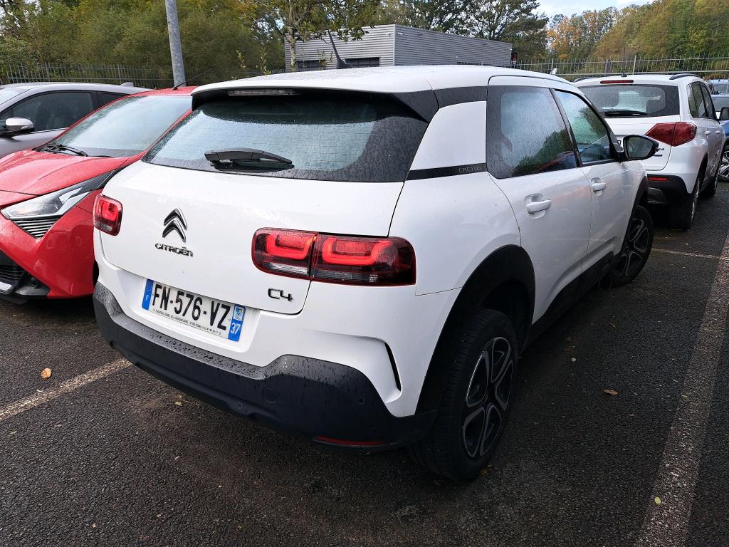 CITROEN C4 CACTUS BlueHDi 100 S&S BVM6 Feel Business 2020