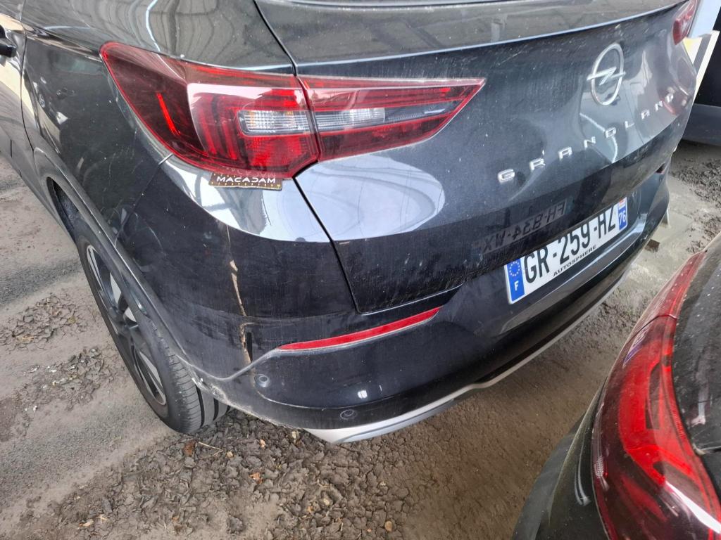 OPEL GRANDLAND 1.5 Diesel 130 ch BVA8 Elegance Business 2023