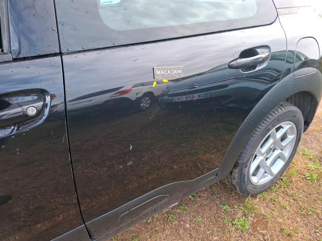 CITROEN C4 CACTUS SOCIETE BLUEHDI 100 S&S BVM6 FEEL NAV 2019