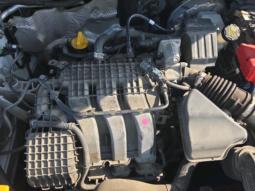 RENAULT CLIO SOCIETE SCE 65 - 21 AIR 2021