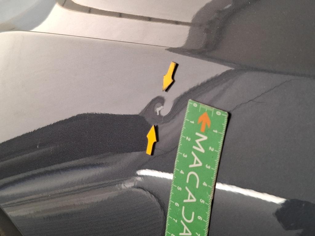 TESLA  2022