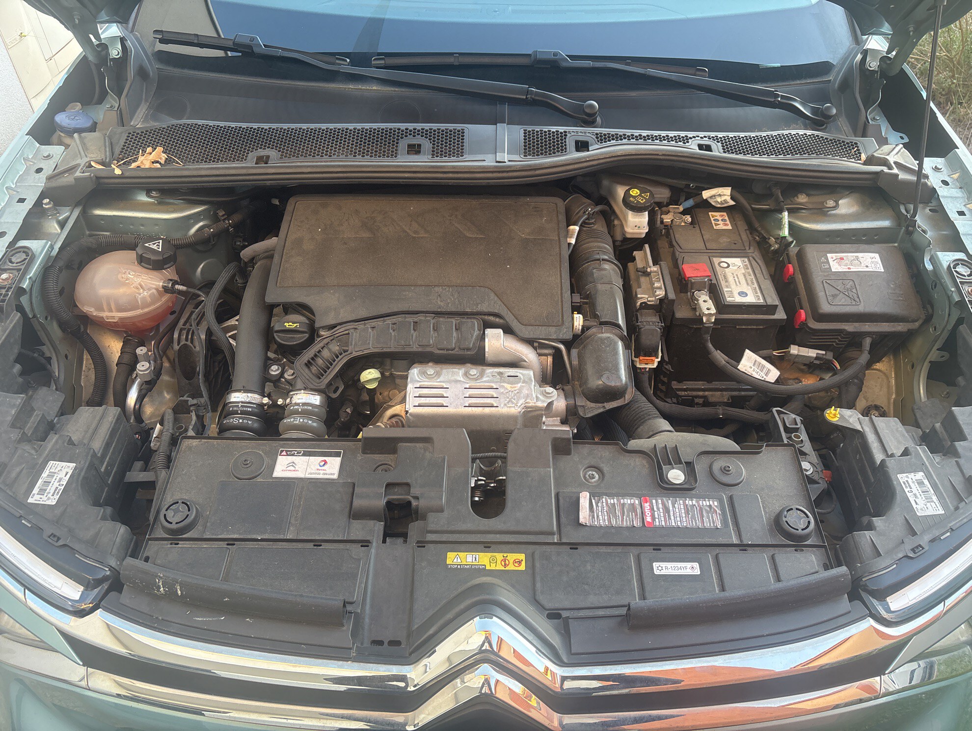 CITROEN C4 PureTech 100 S&S BVM6 Feel 2021