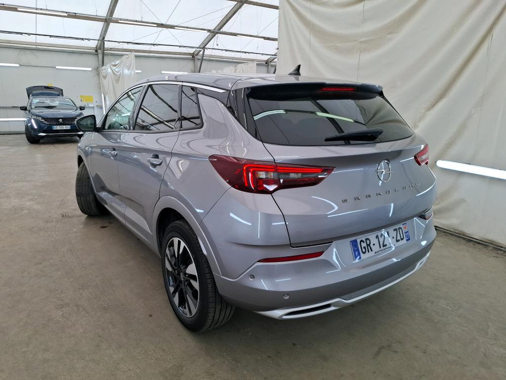 OPEL GRANDLAND 1.5 Diesel 130 ch BVA8 Elegance Business 2023