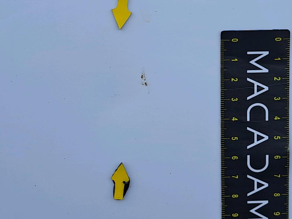 PEUGEOT EXPERT FGN TOLE STANDARD BLUEHDI 145 S&S BVM6 ASPHALT 2022
