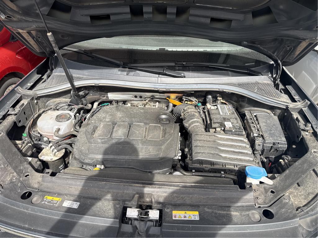 VOLKSWAGEN TIGUAN 2.0 TDI 150ch DSG7 Life Plus 2023