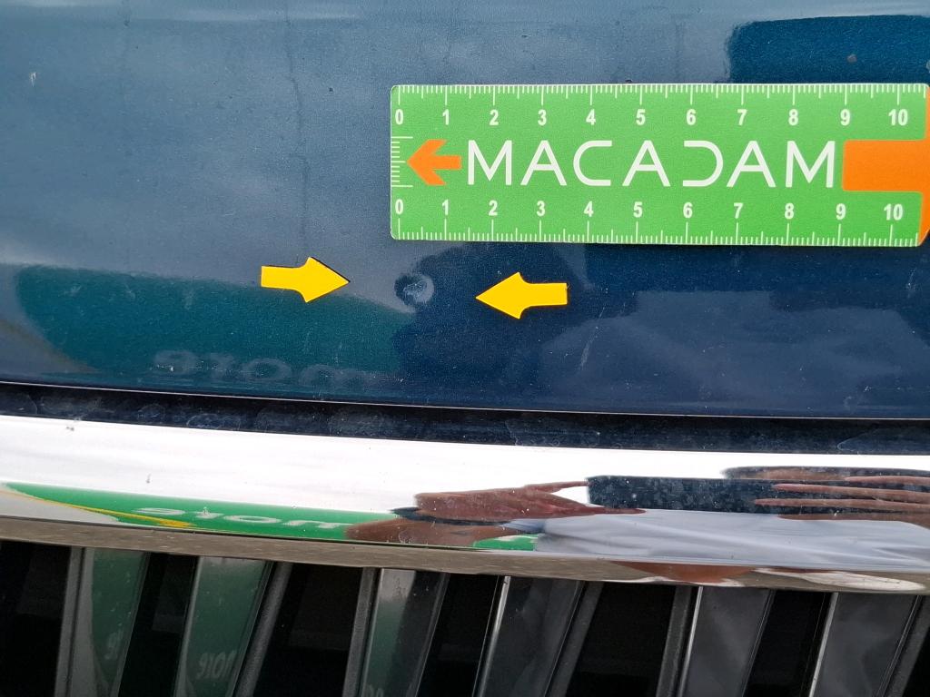 SKODA KODIAQ 2.0 TDI 150 SCR DSG7 7pl Business 2021