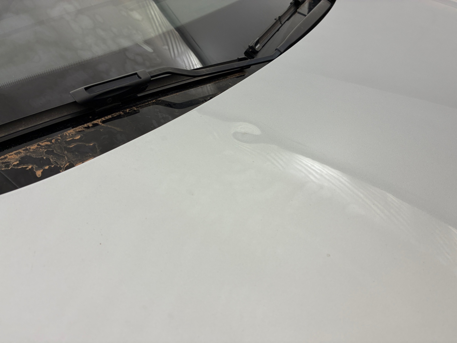 RENAULT MÉGANE MEGANE IV Estate TCe 140 EDC Techno 2023