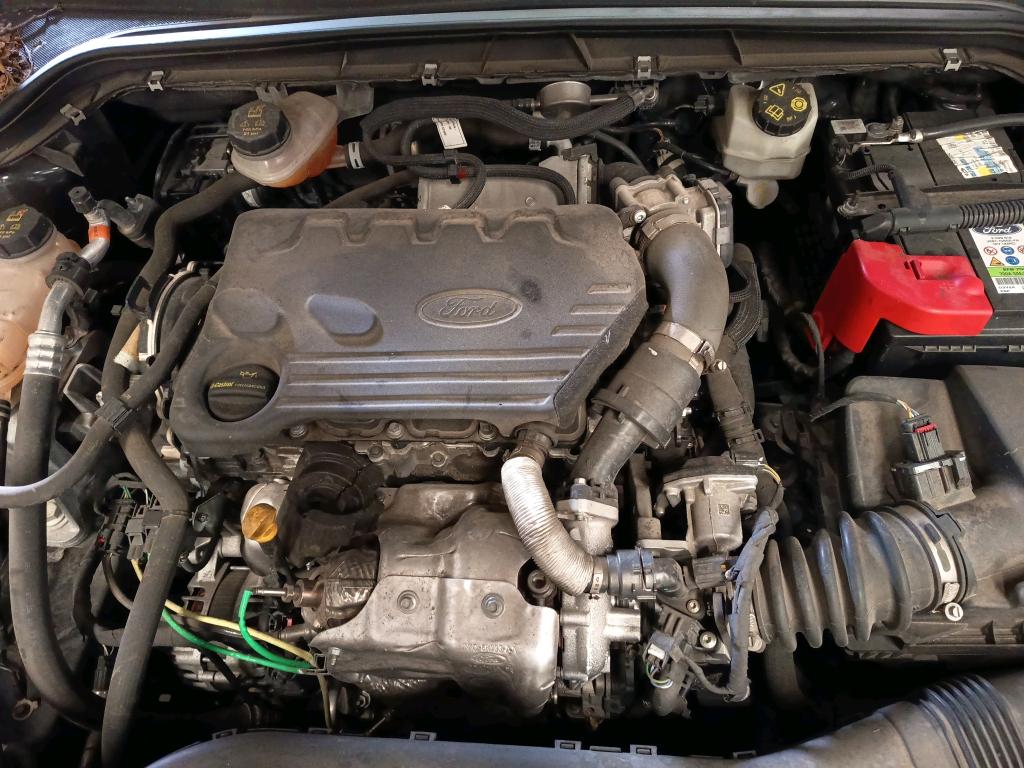 FORD FOCUS 1.5 EcoBlue 120 S&S Titanium 2020