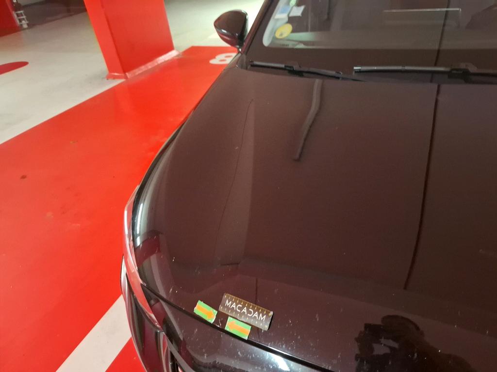 PEUGEOT 208 BUSINESS BlueHDi 100 S&S BVM6 Allure 2021