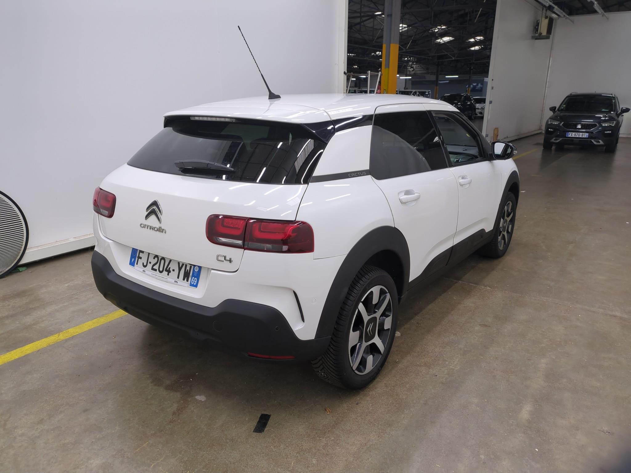 CITROEN C4 CACTUS BlueHDi 100 S&S BVM6 Shine Business 2019