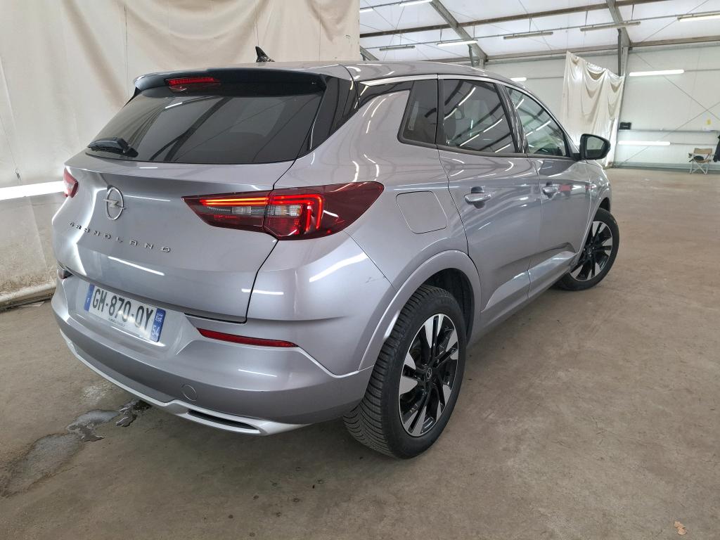 OPEL GRANDLAND 1.5 Diesel 130 ch BVA8 Elegance Business 2023