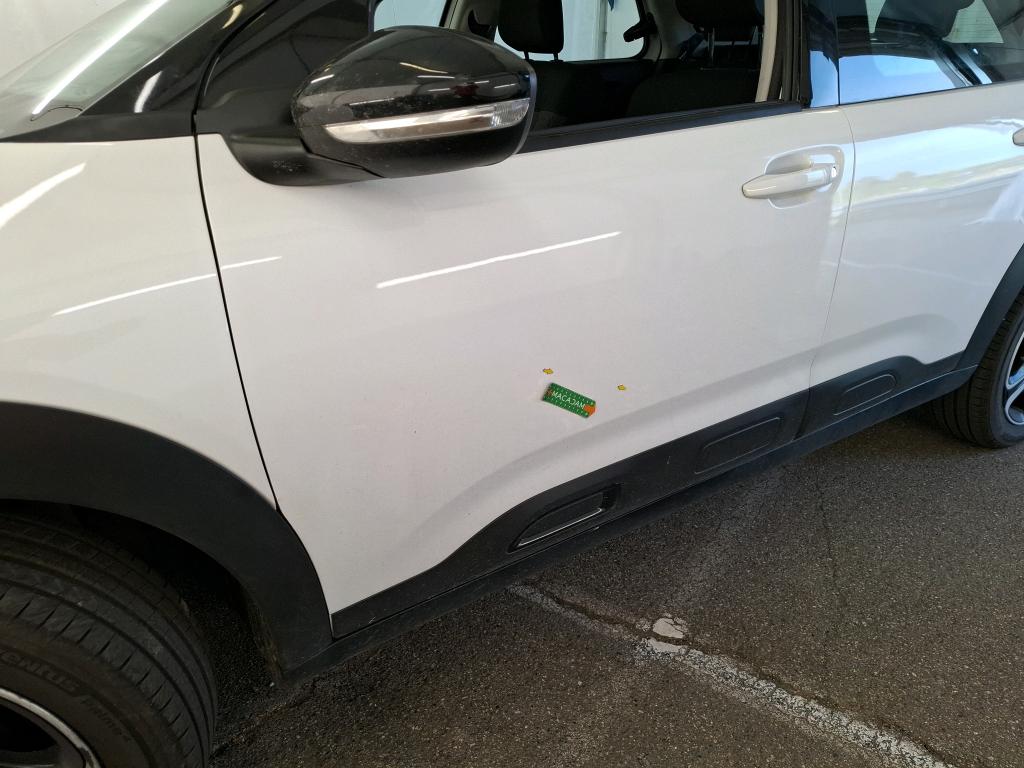 CITROEN C4 CACTUS BlueHDi 100 S&S BVM6 Feel Business 2020