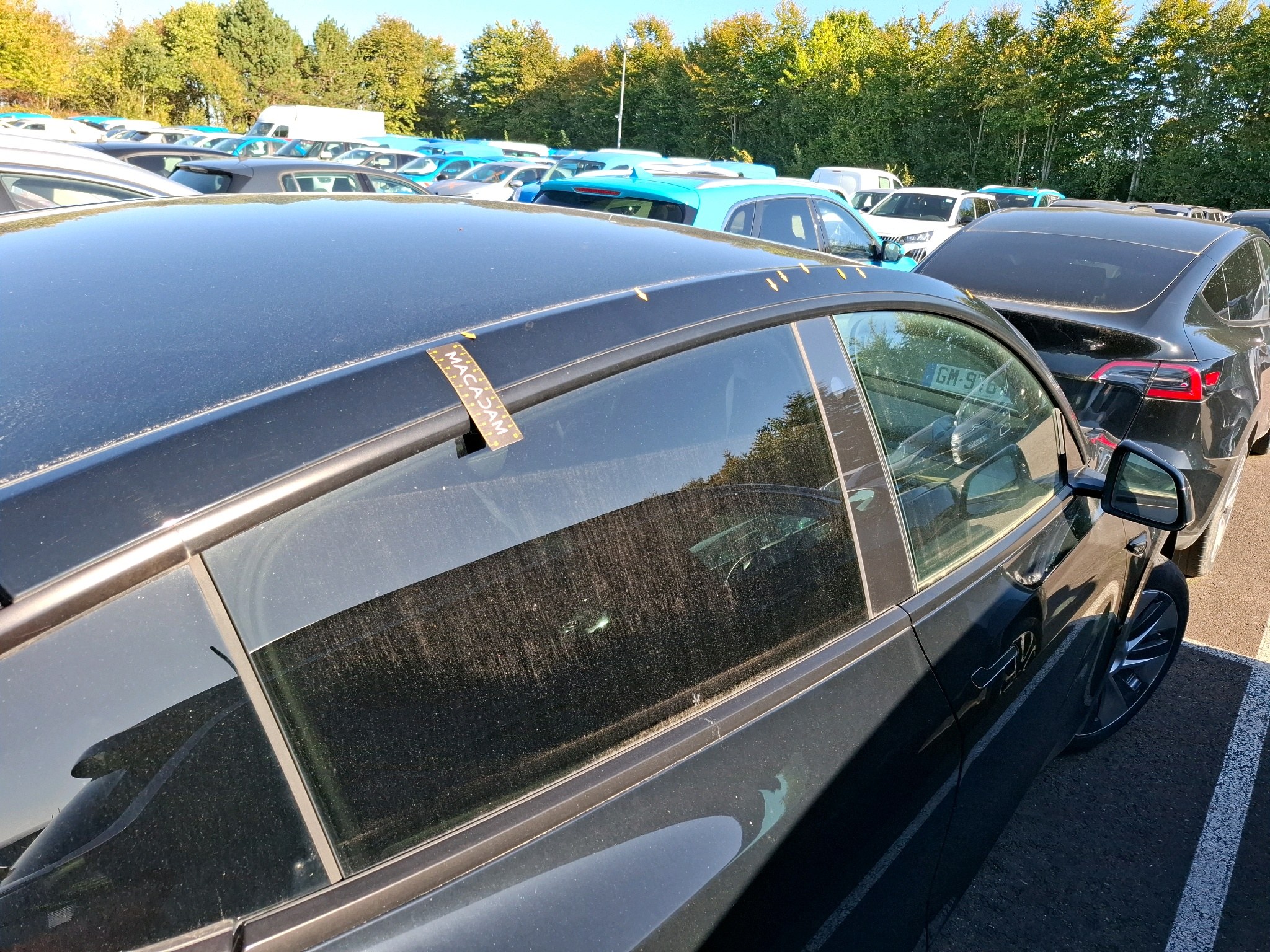 TESLA MODEL Y Standard RWD 2023
