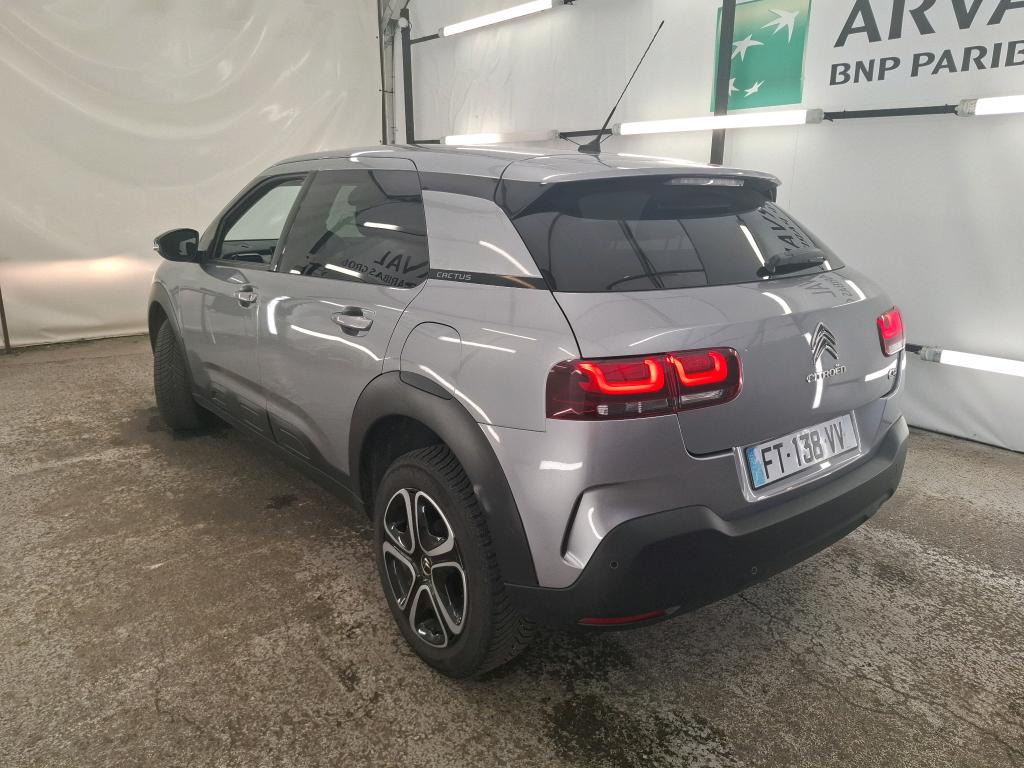 CITROEN C4 CACTUS BlueHDi 100 S&S BVM6 Feel Business 2020