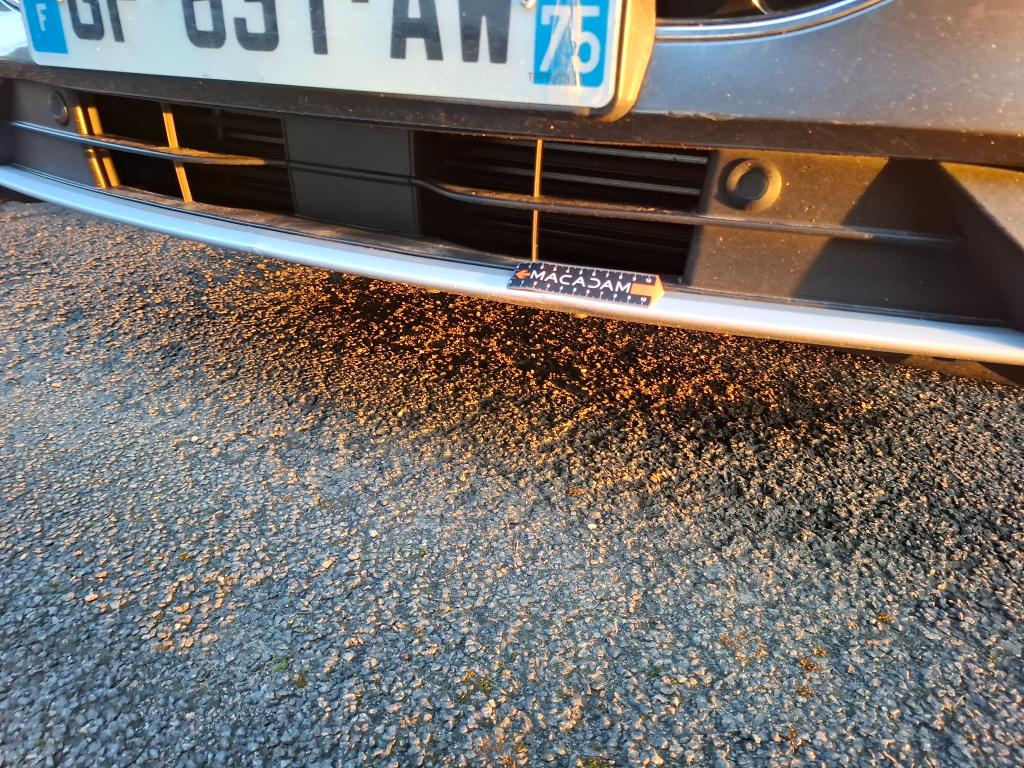 FORD KUGA 1.5 EcoBlue 120 Powershift Titanium 2022