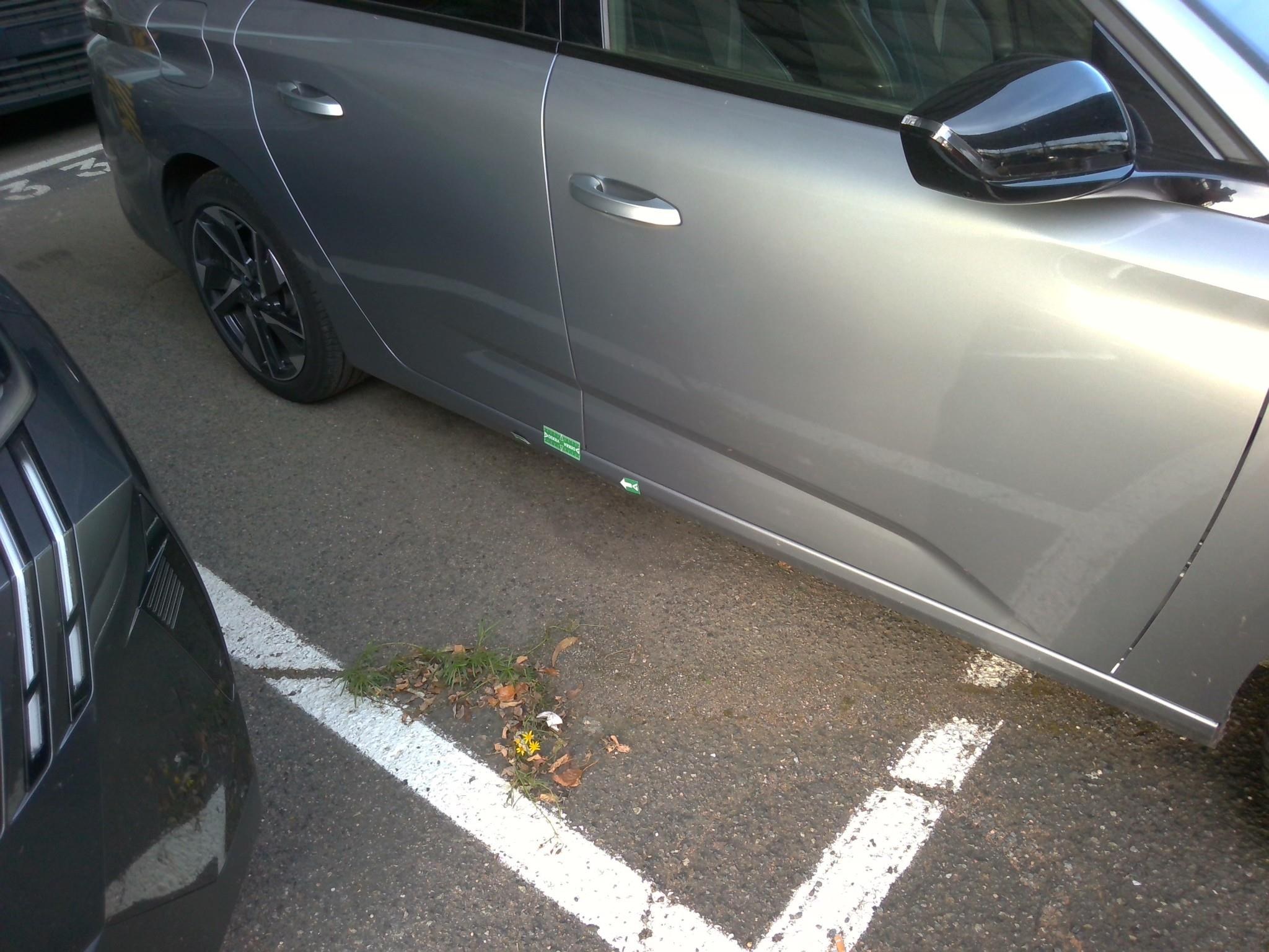 PEUGEOT 308 SW Hybrid 136 e-DCS6 Allure 2025