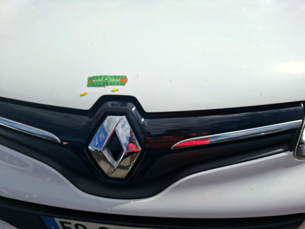 RENAULT KANGOO Blue dCi 95 Business 2020