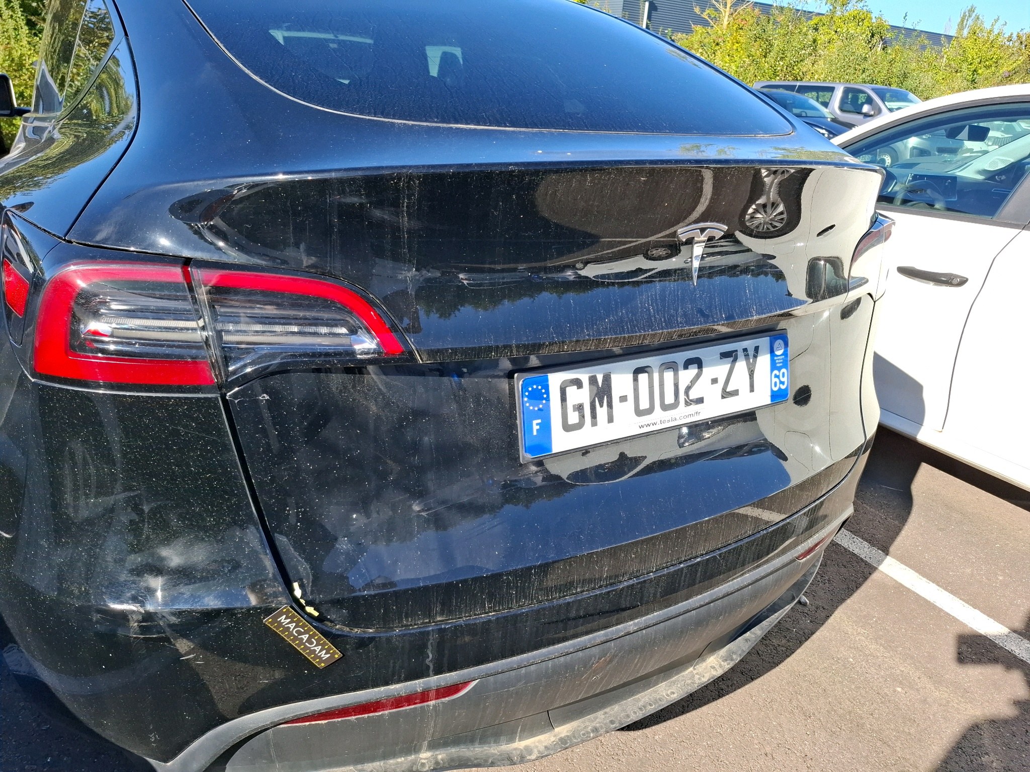 TESLA MODEL Y Standard RWD 2023