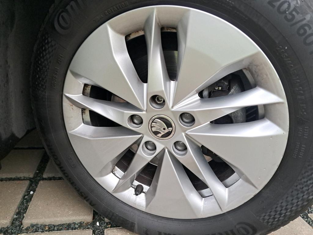 SKODA OCTAVIA COMBI 2.0 TDI 150 ch DSG7 Business 2022