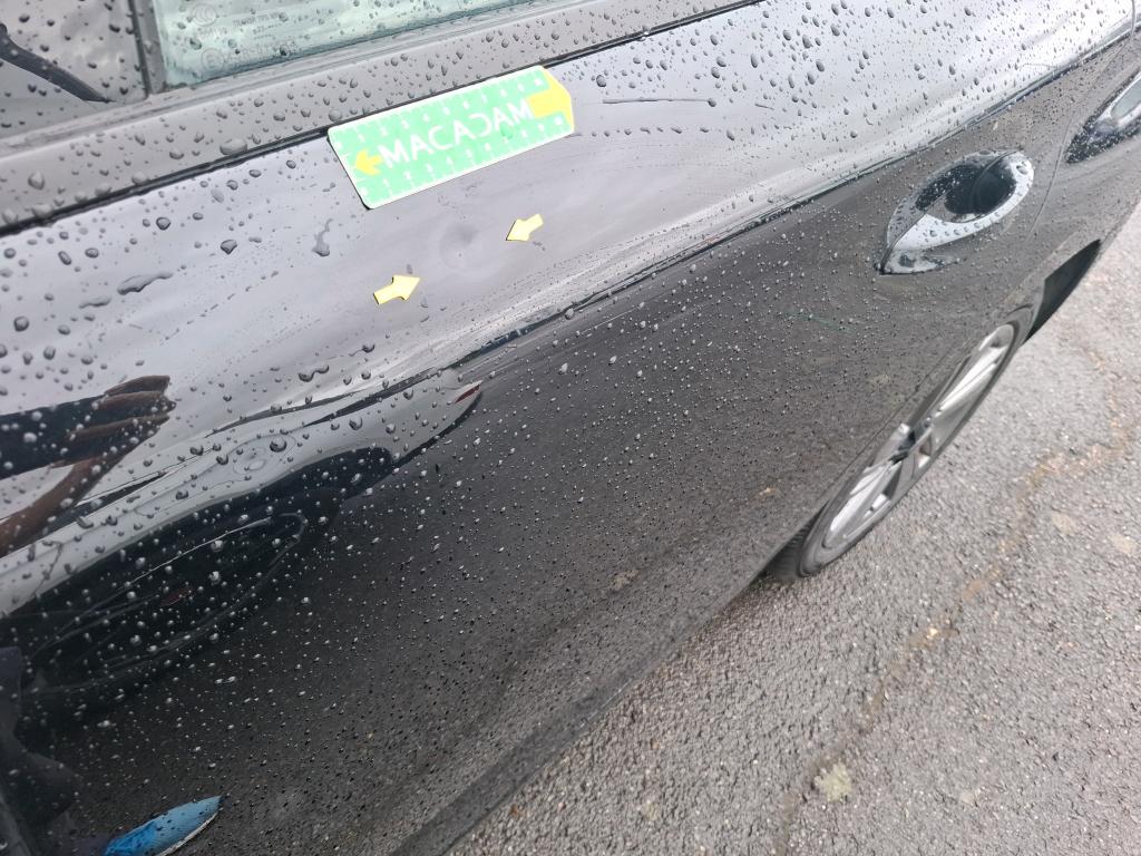 PEUGEOT 308 BlueHDi 130ch S&S EAT8 Active Pack 2023