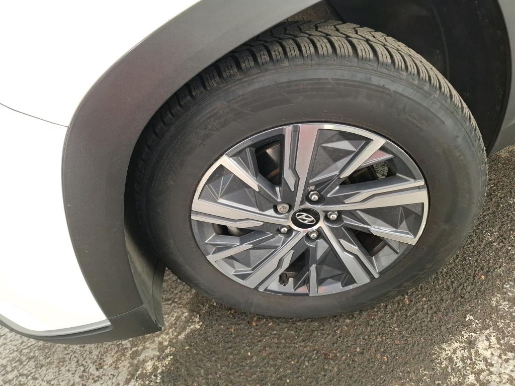 HYUNDAI TUCSON 1.6 CRDi 136 Hybrid 48V DCT-7 Business 2023