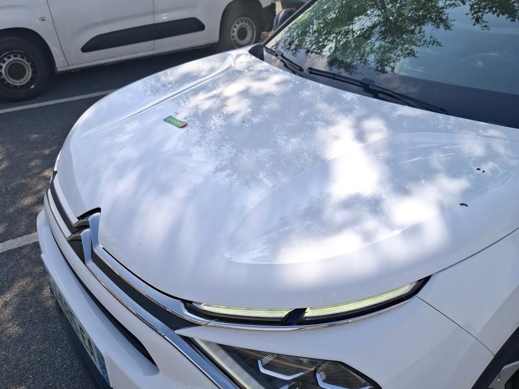 CITROEN C4 BlueHDi 110 S&S BVM6 Feel 2022