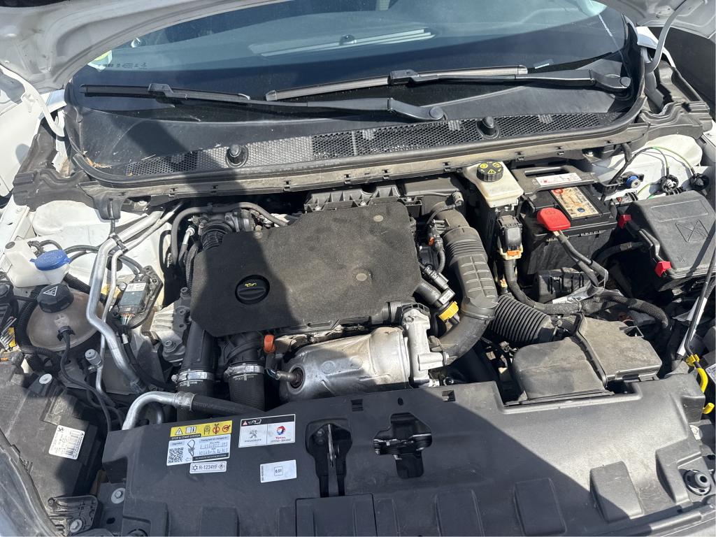 PEUGEOT 308 BUSINESS BlueHDi 100ch S&S BVM6 Active 2020