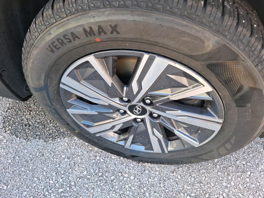 HYUNDAI TUCSON 1.6 T-GDI 230 Hybrid BVA6 Business 2023