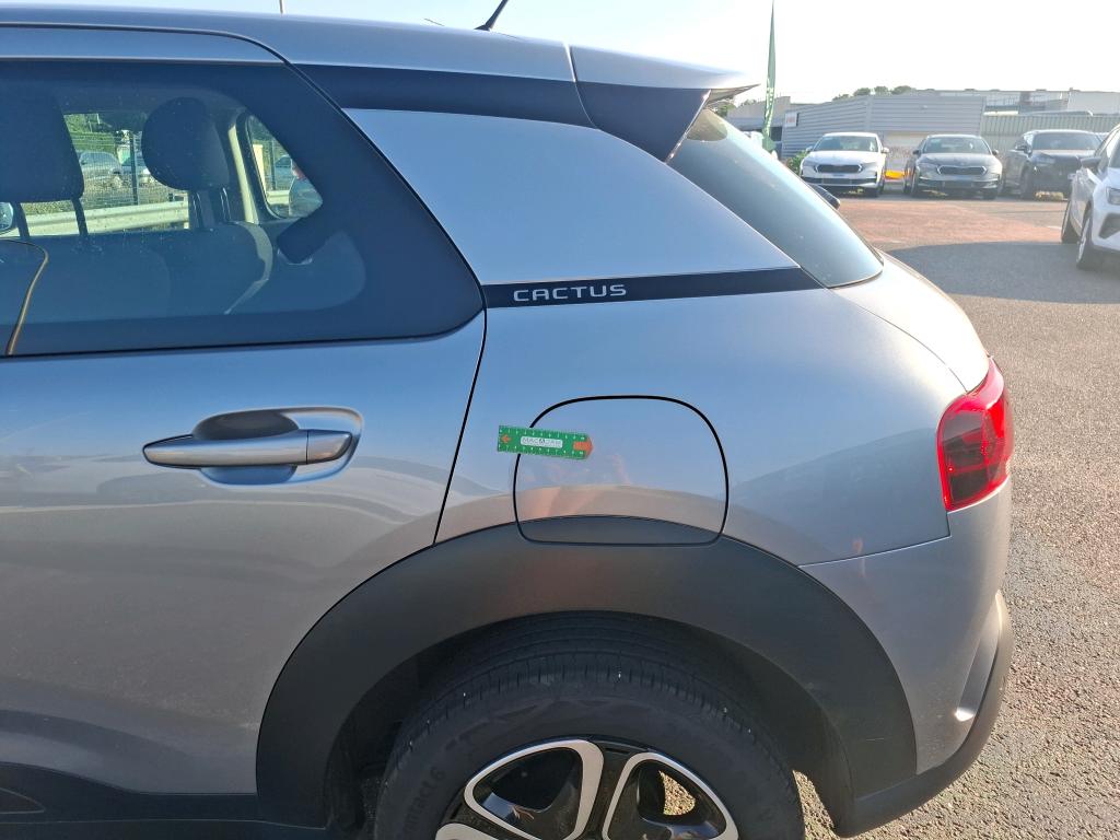 CITROEN C4 CACTUS BlueHDi 100 S&S BVM6 Feel Business 2020