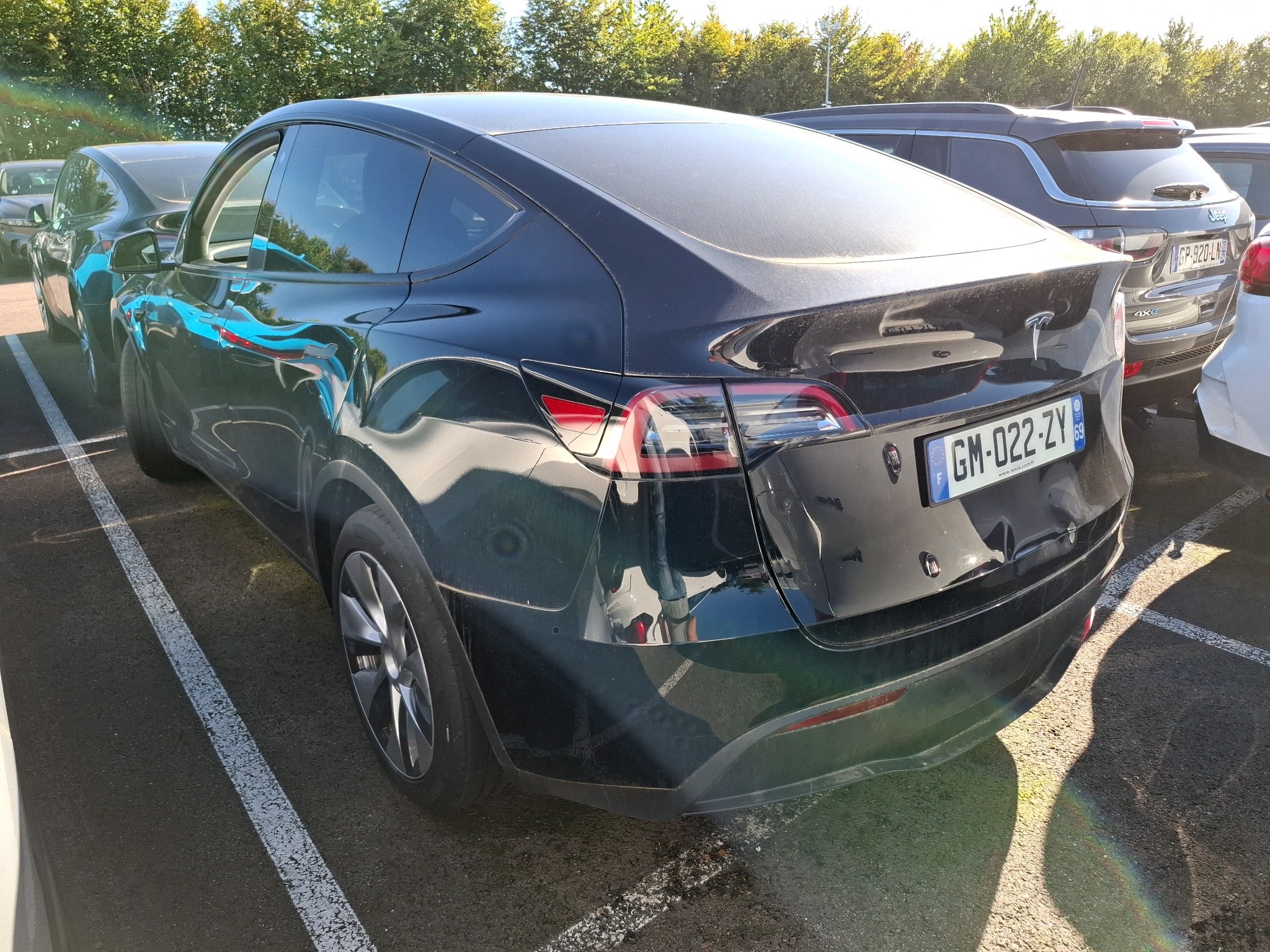 TESLA MODEL Y Standard RWD 2023
