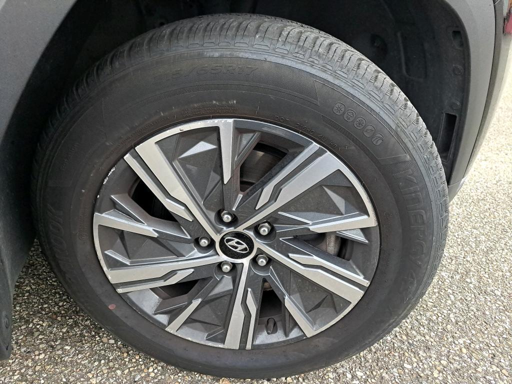 HYUNDAI TUCSON 1.6 CRDi 136 Hybrid 48V DCT-7 Business 2022