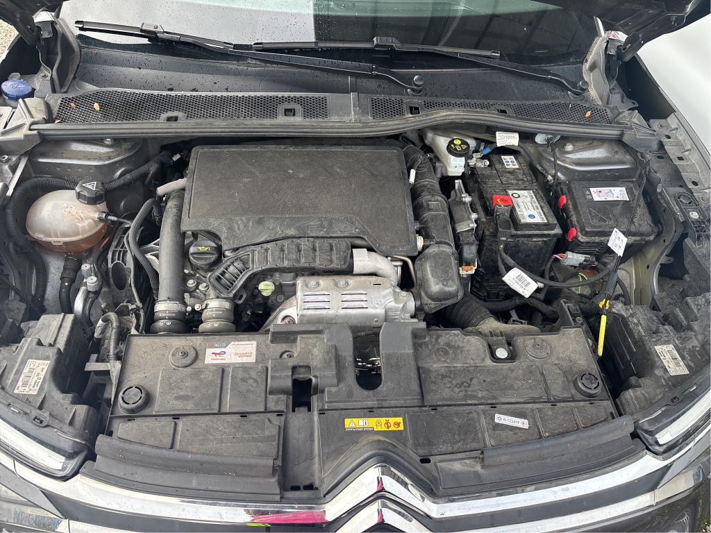 CITROEN C4 PureTech 130 EAT8 Max 2024