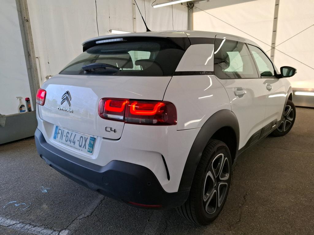 CITROEN C4 CACTUS BlueHDi 100 S&S BVM6 Feel Business 2020