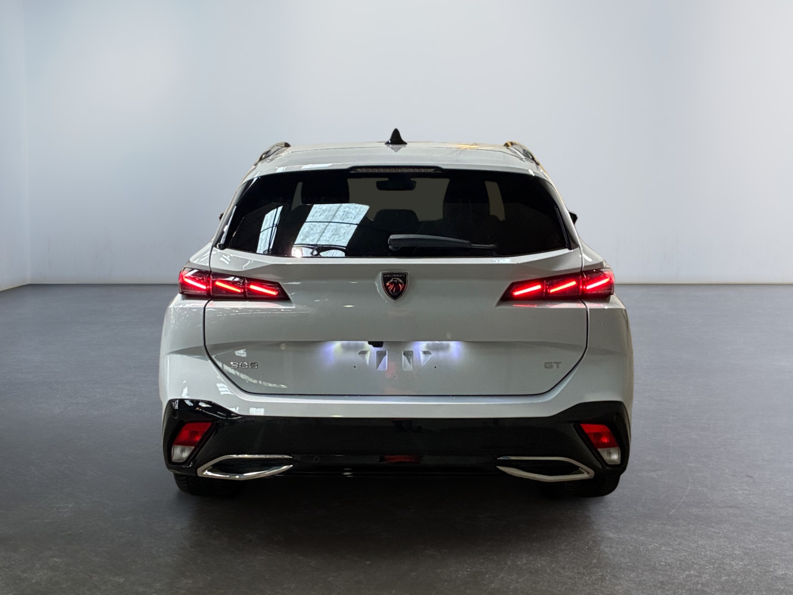 PEUGEOT  2024