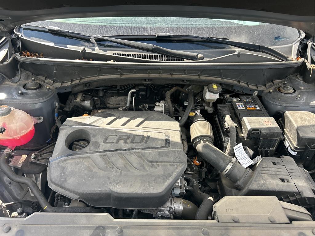 HYUNDAI TUCSON 1.6 CRDi 136 Hybrid 48V DCT-7 N Line Executive 2022