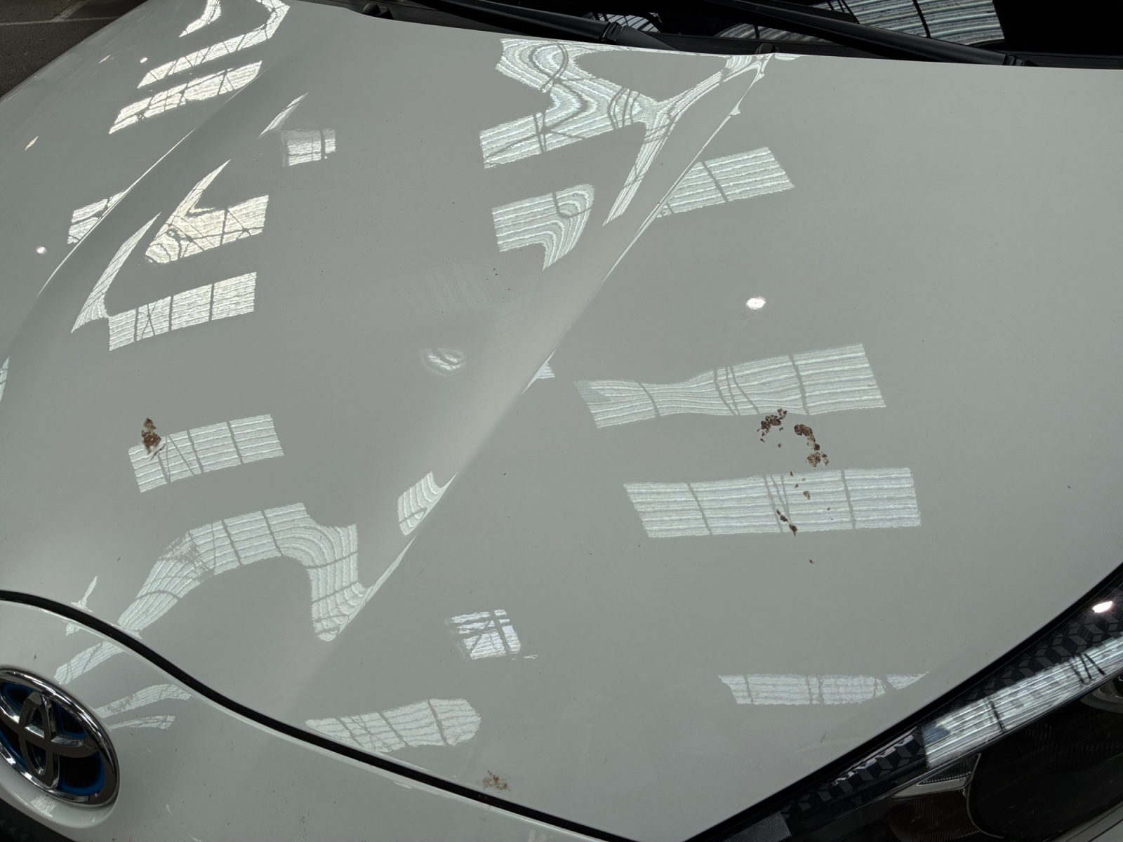 TOYOTA YARIS AFFAIRES PRO HYBRIDE 116h Dynamic Business 2023