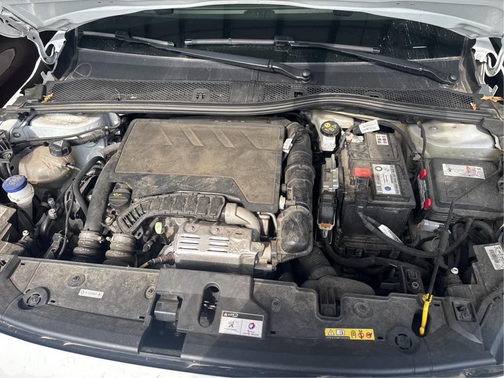 PEUGEOT 208 BUSINESS PureTech 100 S&S BVM6 Allure 2021