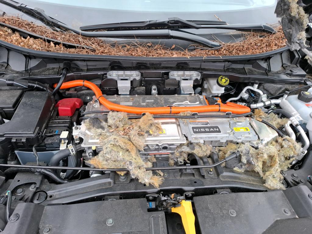 NISSAN ARIYA Electrique 87kWh 242 ch Advance 2025