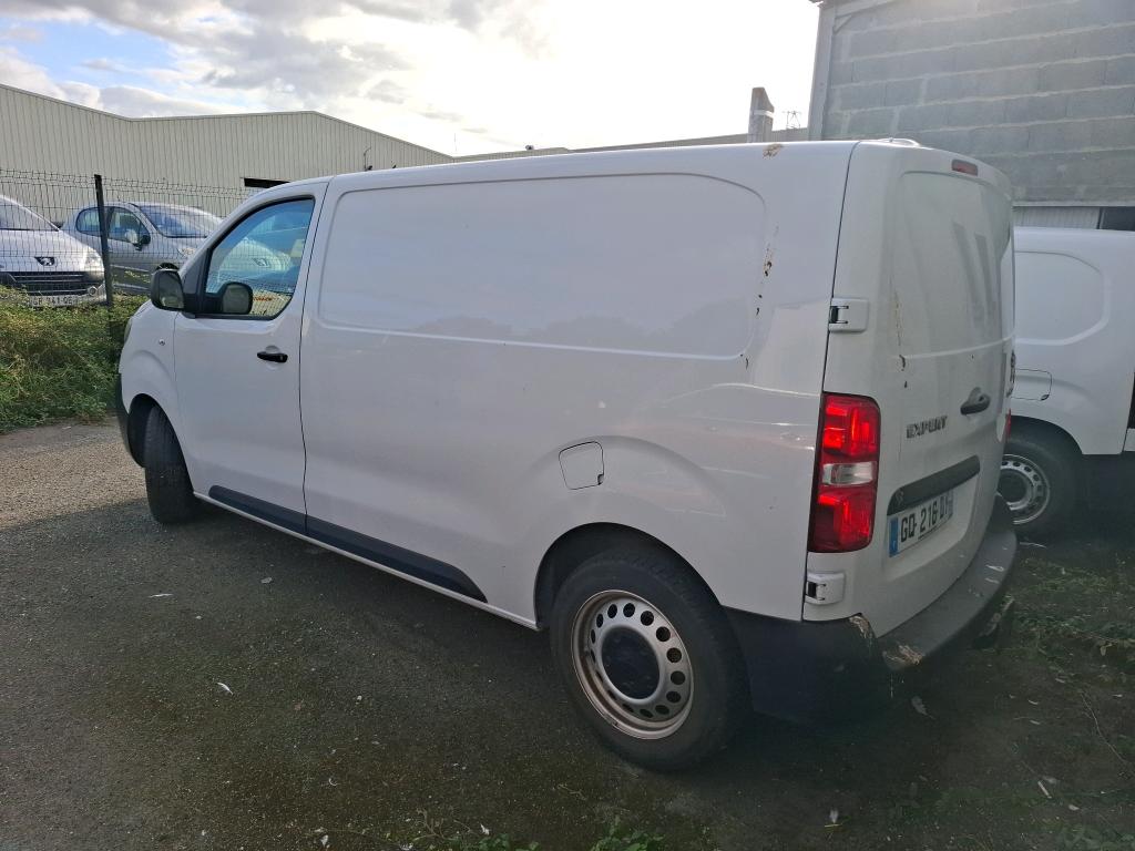 PEUGEOT EXPERT FGN TOLE M BLUEHDI 145 S&S EAT8 2023