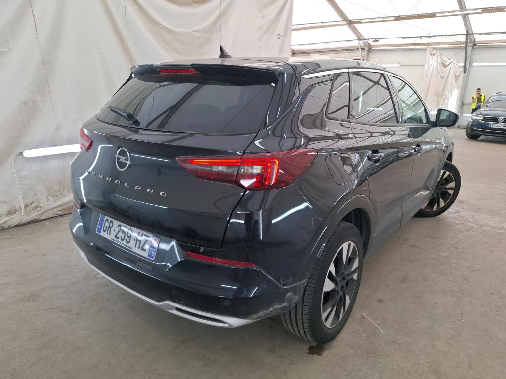 OPEL GRANDLAND 1.5 Diesel 130 ch BVA8 Elegance Business 2023