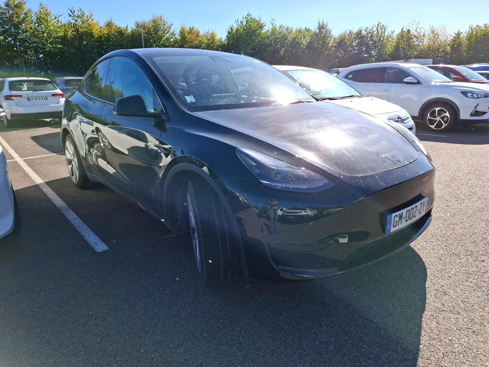 TESLA MODEL Y Standard RWD 2023