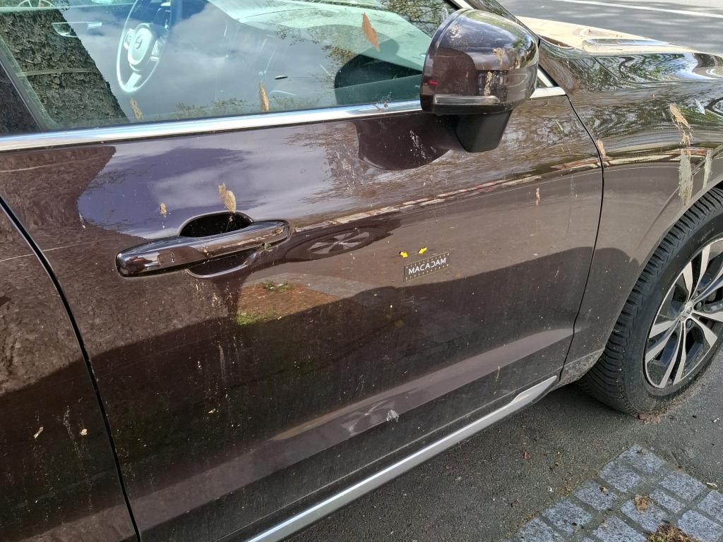 VOLVO XC60 BUSINESS T6 Recharge AWD 253 ch + 87 Geartronic 8 Executive 2020