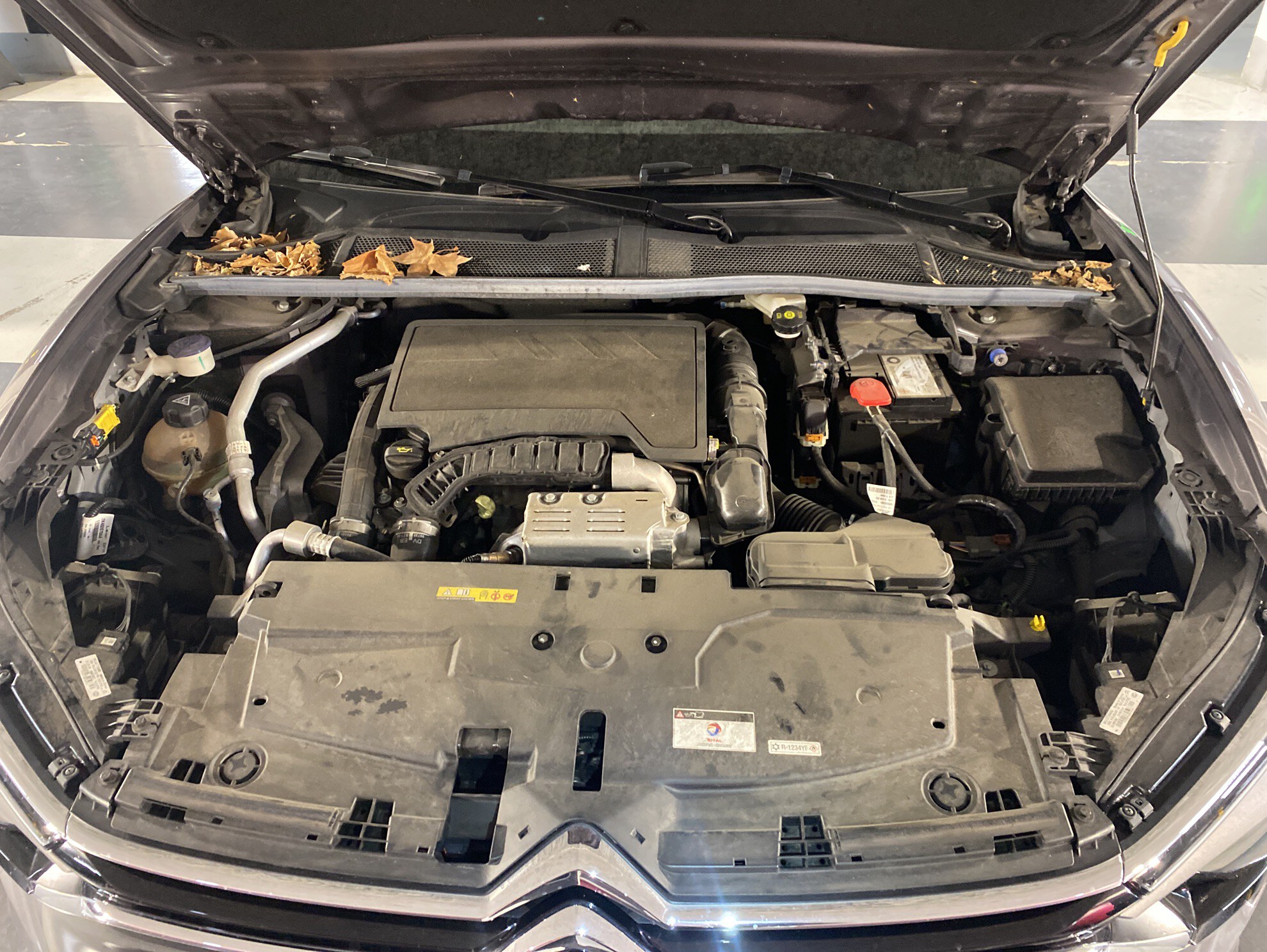 CITROEN C5 X PureTech 130 S&S EAT8 Shine 2023
