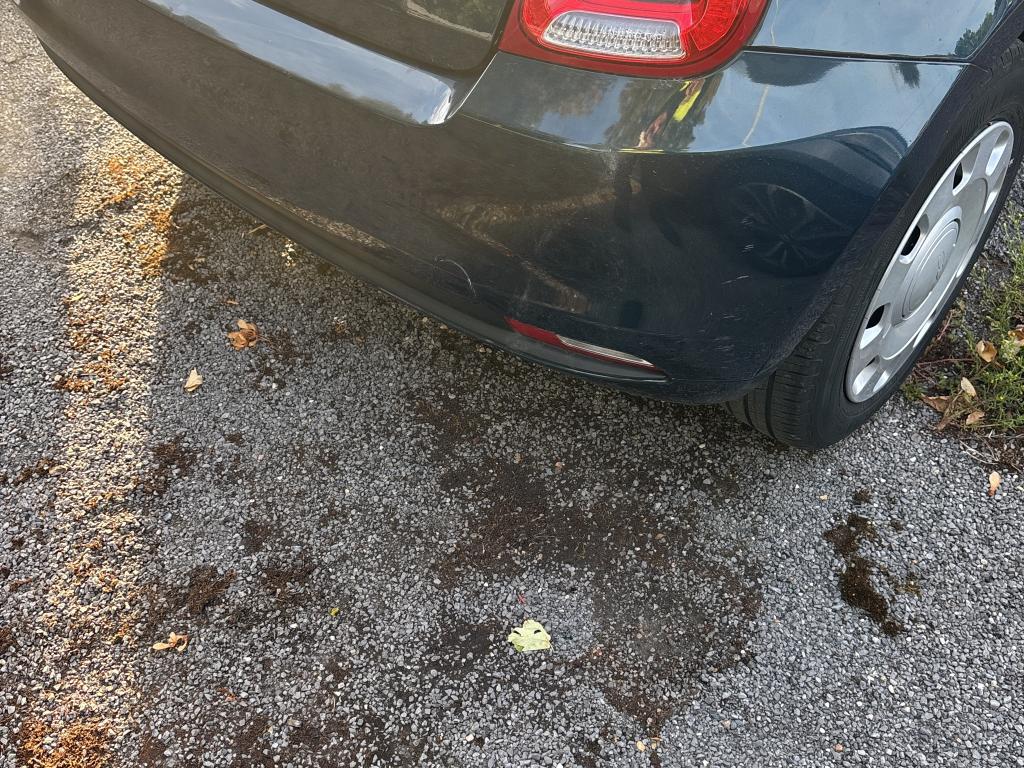 FIAT 500 MY22 1.0 70 ch Hybride BSG S/S Cult 2022