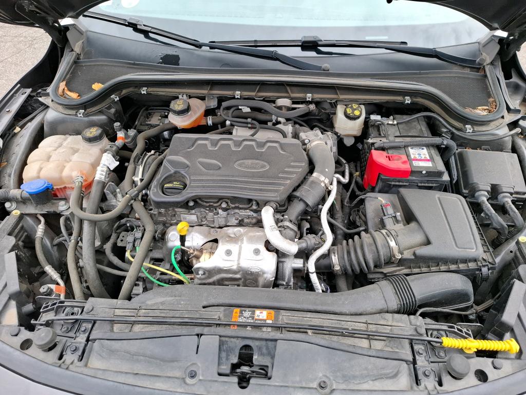 FORD FOCUS 1.5 EcoBlue 120 S&S BVA8 ST-Line X 2022