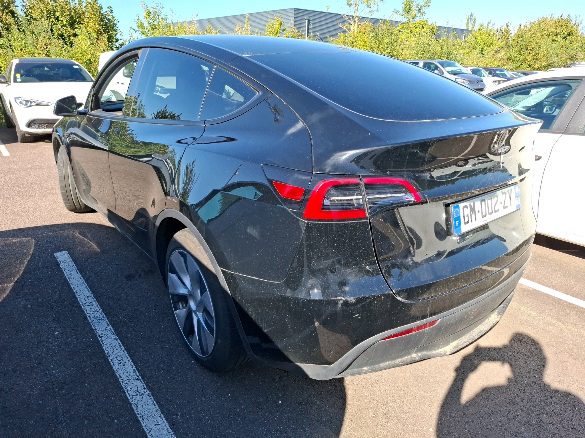 TESLA MODEL Y Standard RWD 2023